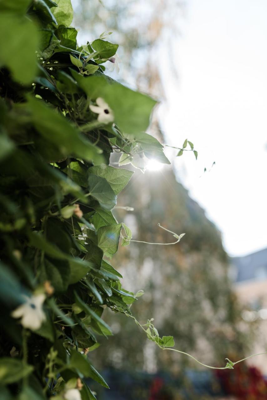 Sommers Hotel Altes Posteck Reichenbach im Vogtland Exterior foto